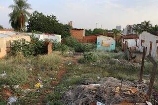 Terreno está cheio de mato alto e lixo (Foto: Osmar Veiga)