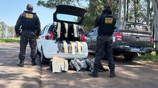 Ao todo foram apreendidos 131 quilos de cabelo humano (Foto: Divulgação | DOF)