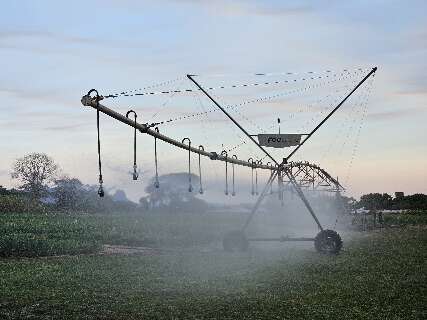 MS cria primeiro polo de agricultura irrigada e inclui 26 munic&iacute;pios