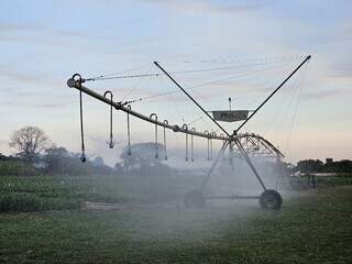 Pivô de irrigação instalado em área agrícola de MS. (Foto: Arquivo/Semadesc)