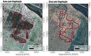 Comparativo de área com vegetação em 2016 e desmatada no ano de 2019. (Foto: Reprodução)