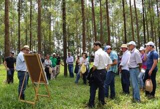 Embrapa Gado de corte ministra curso de integração lavoura-pecuária-floresta. (Foto: Divulgação/Embrapa)