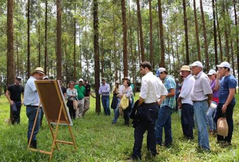 Embrapa Gado de Corte oferece cursos de capacitação para trabalhar nas fazendas