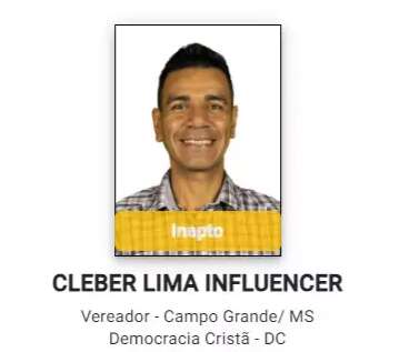 Categoria finalmente inserida: "influencer" vira nome na urna