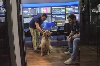 Até quem não levou seu pet aproveitou. (Foto: Paulo Francis)