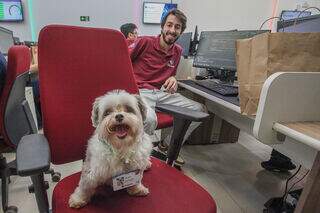 Cachorros viram estagiários por um dia com direito a chamego dos donos