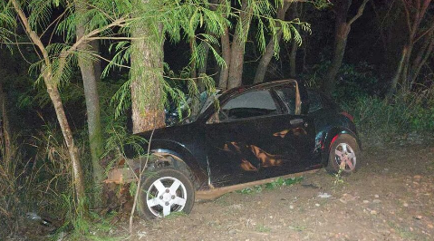 Carro atropela capivara, sai da pista e motorista morre após colidir em árvore 