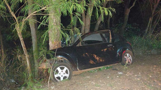 Carro colidiu contra árvore. Motorista foi encontrado já sem vida (Foto: divulgação / O Pantaneiro)