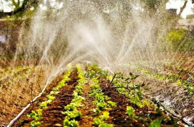 Fundect tem edital de R$ 5,4 milh&otilde;es para programa de resid&ecirc;ncia agr&aacute;ria 