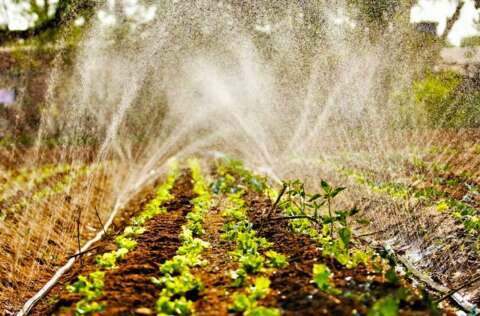 Fundect tem edital de R$ 5,4 milhões para programa de residência agrária 