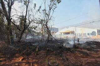 Inc&ecirc;ndio consome vegeta&ccedil;&atilde;o em p&aacute;tio da Receita Federal e afeta rede el&eacute;trica