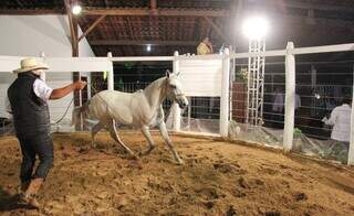 A programação terá rodeio de touros, leilões de bovinos (Foto: Divulgação)