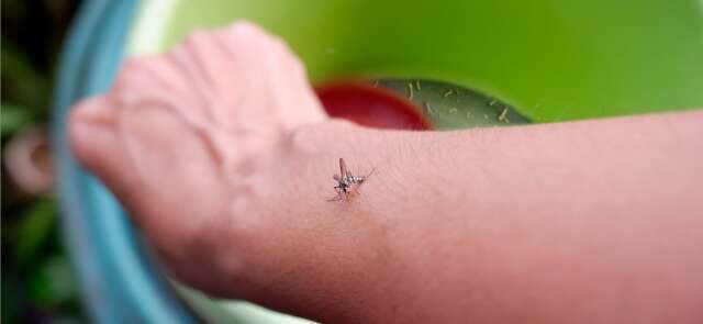 Sa&uacute;de lan&ccedil;a campanha nacional de combate &agrave; dengue, zika e chikungunya