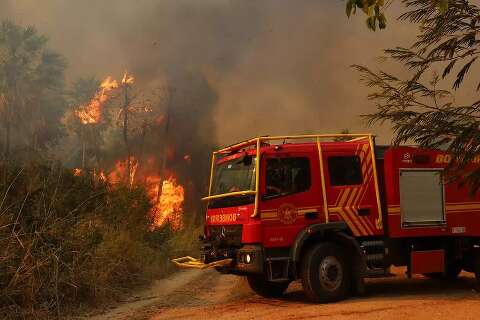 Camila quer desapropriação de fazendas atingidas por incêndios