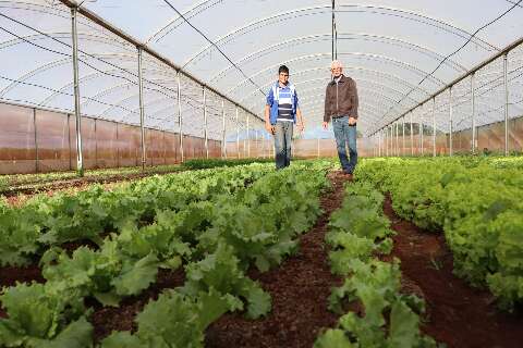 Edital traz oportunidade para rec&eacute;m-formados atuarem na agricultura familiar