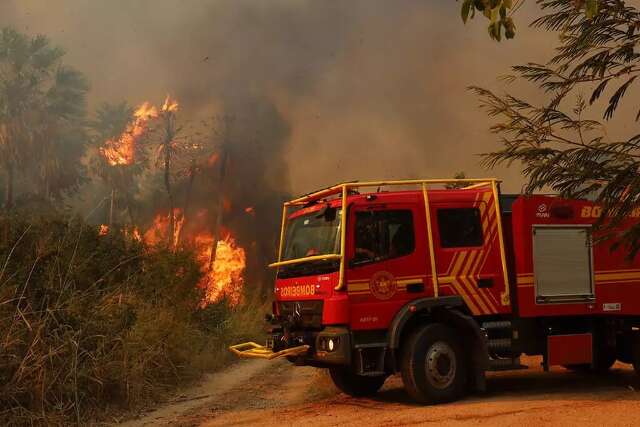 Camila quer desapropria&ccedil;&atilde;o de fazendas atingidas por inc&ecirc;ndios