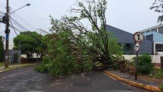 Tempestade deixa diversos sem&aacute;foros desligados na Capital