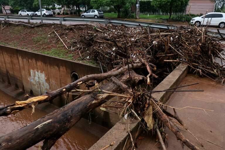 Campo Grande News