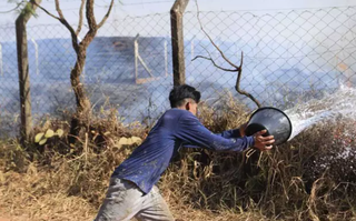 Ap&oacute;s inc&ecirc;ndio, aldeia recebe plantio de &aacute;rvores para renovar esperan&ccedil;a