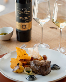 Bodega Trivento: vinhos argentinos que encantam o mundo