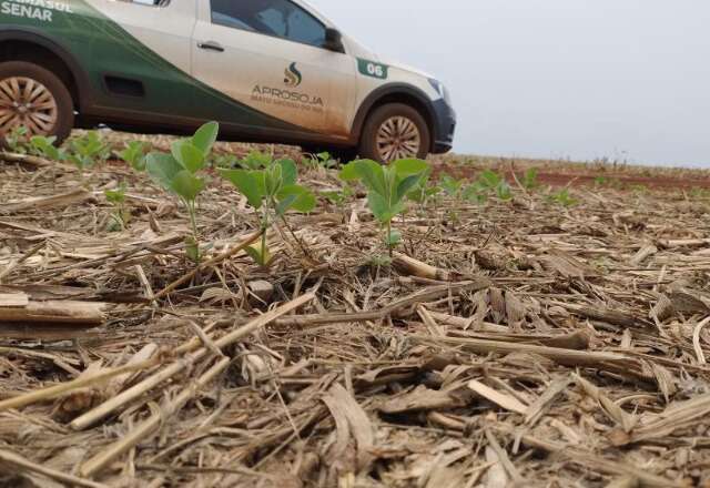 Pouca chuva pode afetar plantio de soja e o milho de segunda safra