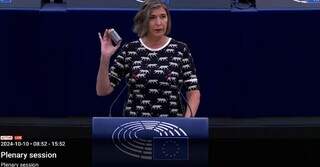 Deputada Anja Hazekamp durante sessão plenária no Parlamento Europeu e as cinzas do Pantanal (Foto/Reprodução)