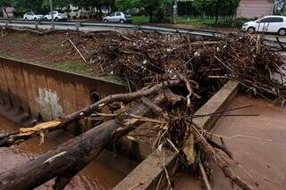 Galhos acumulados após a chuva próximo ao Córrego Segredo, em Campo Grande (Foto: Henirque Kawaminami)