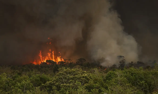 Incêndio florestal registrado em 2024 no Brasil (Foto: Marcelo Camargo/Agência Brasil)