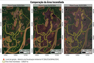 Imagens de área antes do incêndio, durante e processo de recuperação depois do fogo. (Foto: Reprodução)