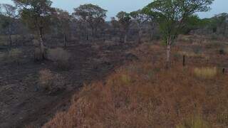 Inc&ecirc;ndios voltam a aumentar em semana com previs&atilde;o de calor em MS