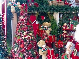 Já em clima de Natal, lojas exibem enfeites e árvores em vitrine (Foto: Idaicy Solano)