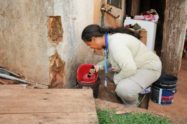 Mato Grosso do Sul completa um m&ecirc;s sem novas mortes por dengue