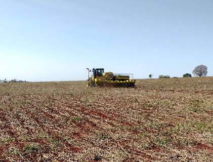 Estimativa inicial da Conab indica produção de 322 milhões de toneladas de grãos