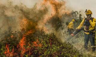 Brigadista combate incêndio no Pantanal de Mato Grosso do Sul (Foto: Marcelo Camargo)