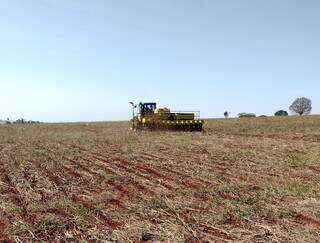 Agricultores trabalham na semeadura da soja na região sul de MS. (Foto: Divulgação/Aprosoja-MS)