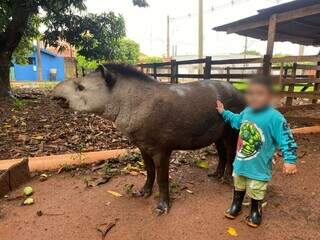 Criança tira foto com Tico em Anaurilândia (Foto: Arquivo Pessoal)