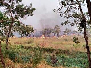 Incêndio em área verde na região do Pantanal. (Foto: Divulgação/ MPMS)