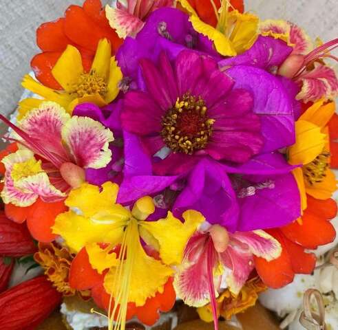 Rosas, violetas ou capuchinhas: sabe quais flores voc&ecirc; pode comer?