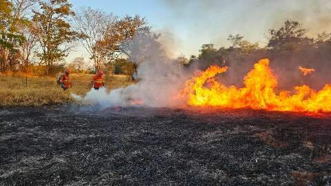 Estado irá testar produtos que serão usados no combate aos incêndios florestais