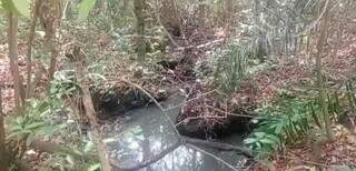 Águas contaminadas encontradas em área de nascente do Córrego Bonito (Foto: Divulgação/PMA)