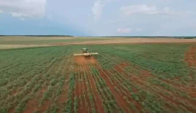 Sistema de sat&eacute;lites em MS j&aacute; flagrou desmatamento at&eacute; em fazenda de Michel Tel&oacute;