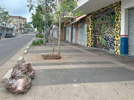 Sem vestígios do movimento noturno, 14 de Julho "acorda" limpa