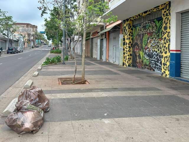 Sem vest&iacute;gios do movimento noturno, 14 de Julho &quot;acorda&quot; limpa