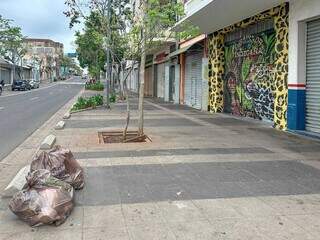 Sem rastros de lixo, calçada na Rua 14 de Julho estava limpa na manhã deste sábado. (Foto: Marcos Maluf)