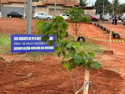 Bosque que já foi lixão completa quatro anos e recebe aulas de direção segura