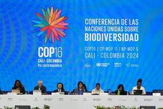 Mesa com autoridades durante solenidade de abertura da Cop16, em Cali, na Colômbia (Foto: Divulgação) 