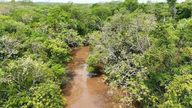 Minist&eacute;rio P&uacute;blico investiga lama que Rio Verde despeja no Prata 