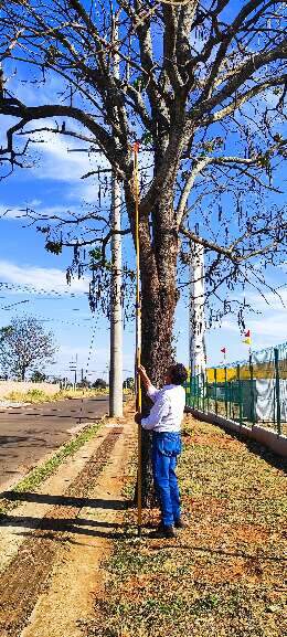 Campo Grande News