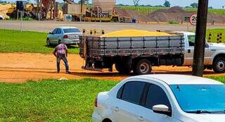 Jacar&eacute; &eacute; capturado em p&aacute;tio de cooperativa e amarrado na carroceira de ve&iacute;culo