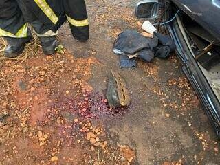 Tênis e mancha de sangue da vítima às margens da pista (Foto: Jornal da Nova)